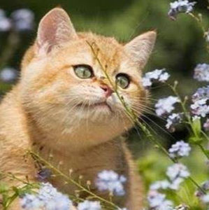 Meet your Posher, Gary